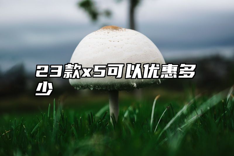 23款x5可以优惠多少