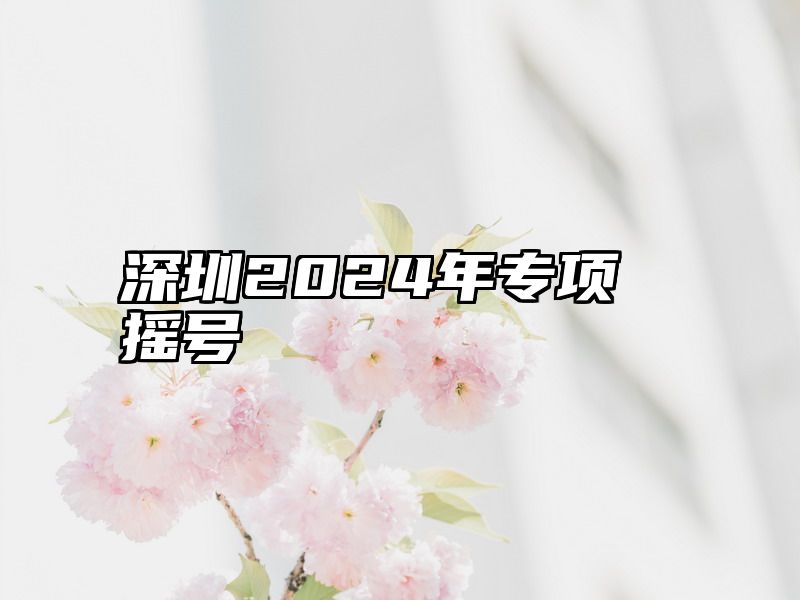 深圳2024年专项摇号