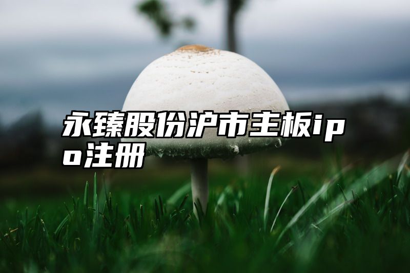 永臻股份沪市主板ipo注册