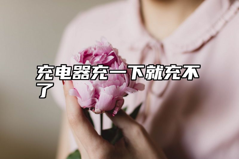 充电器充一下就充不了