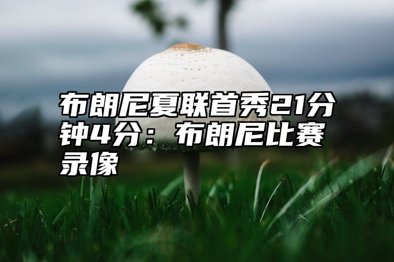 布朗尼夏联首秀21分钟4分：布朗尼比赛录像