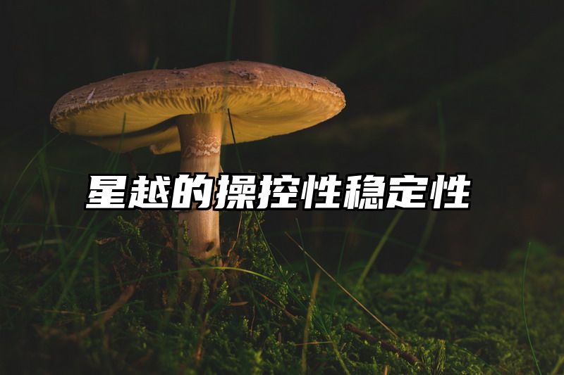 星越的操控性稳定性