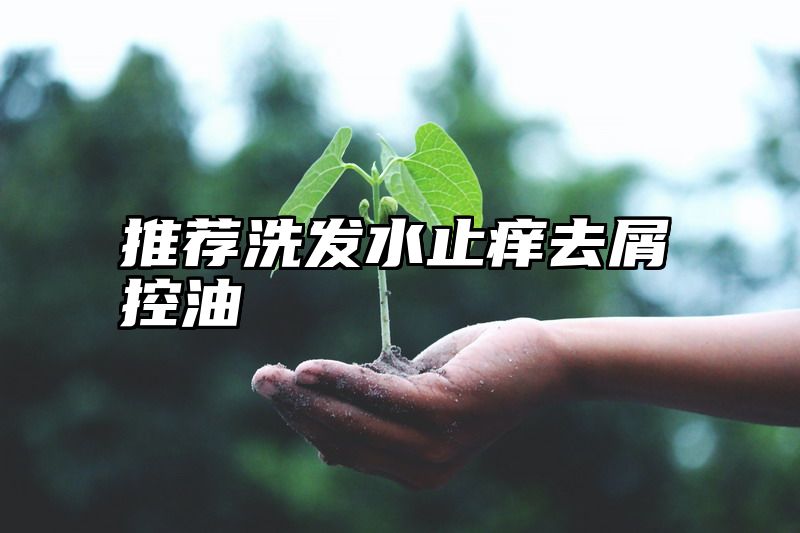 推荐洗发水止痒去屑控油