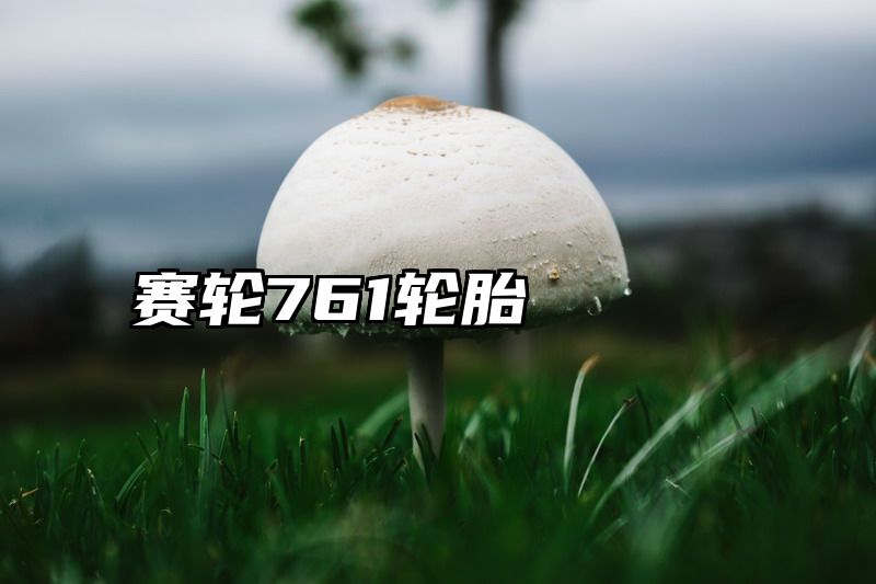 赛轮761轮胎