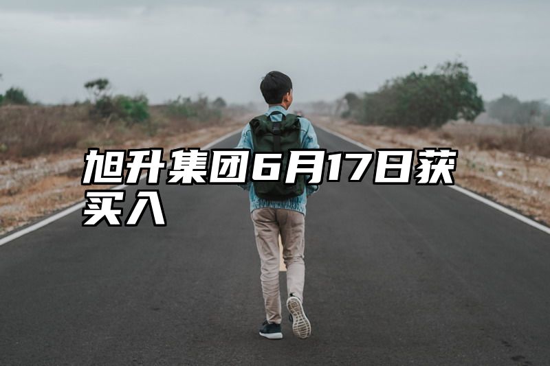 旭升集团6月17日获买入