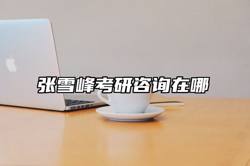 点击查看《张雪峰考研咨询在哪》全文
