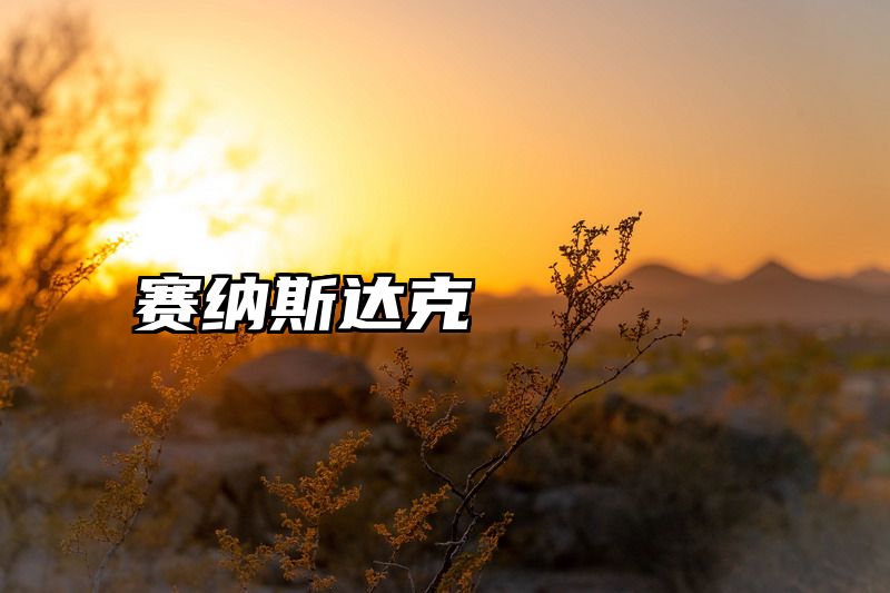 赛纳斯达克