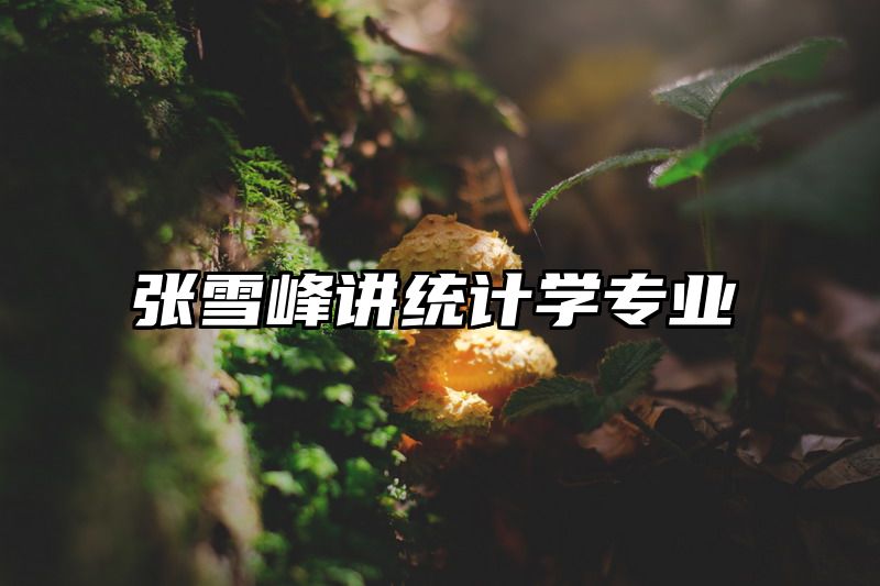 张雪峰讲统计学专业