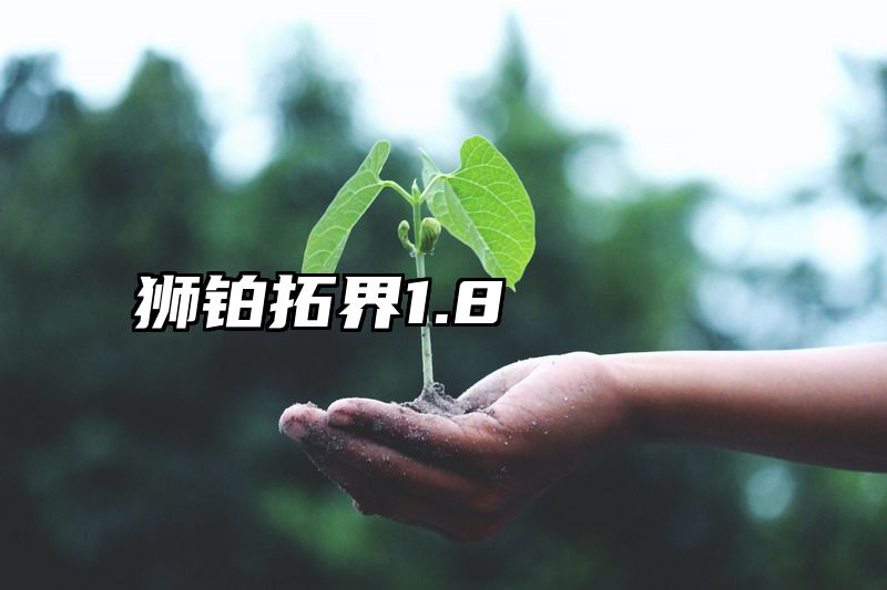狮铂拓界1.8