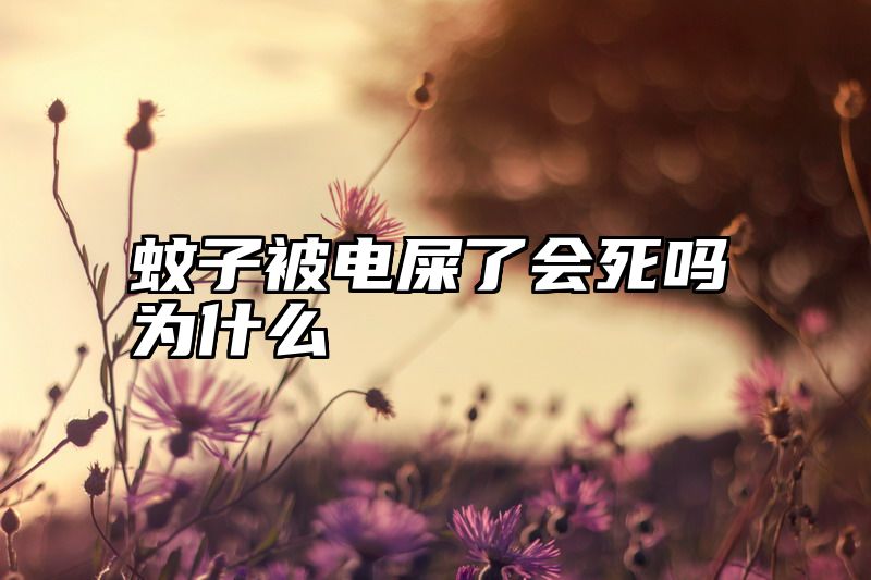 蚊子被电屎了会死吗为什么