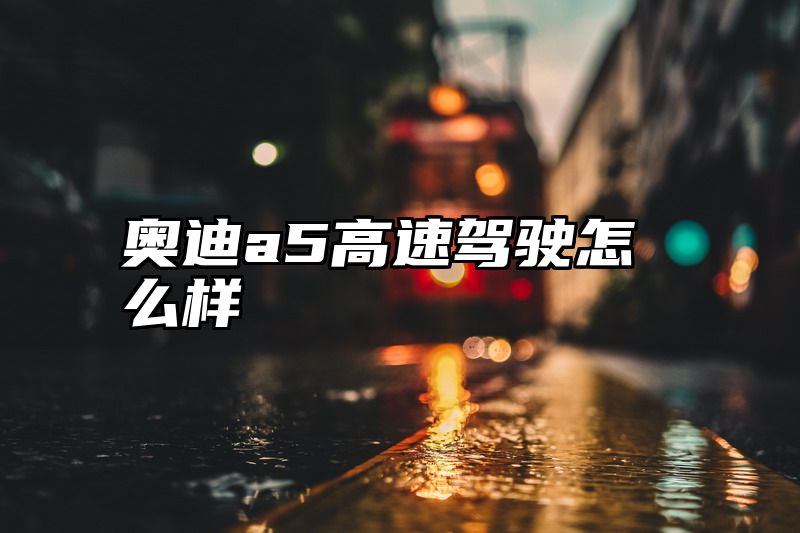 点击查看《奥迪a5高速驾驶怎么样》全文