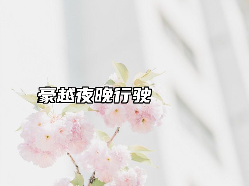 豪越夜晚行驶