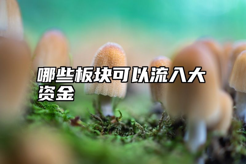 哪些板块可以流入大资金