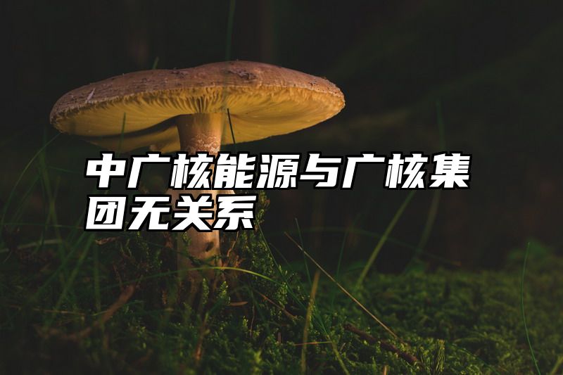 中广核能源与广核集团无关系