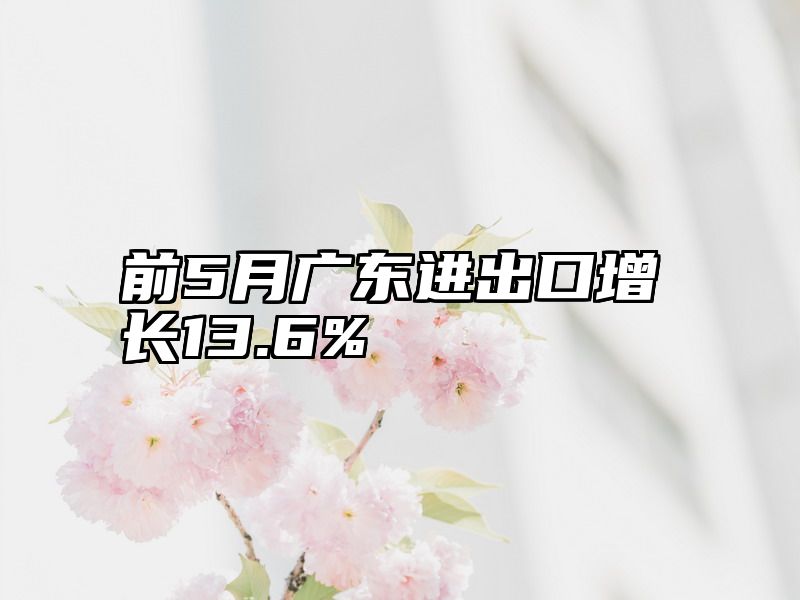 前5月广东进出口增长13.6%