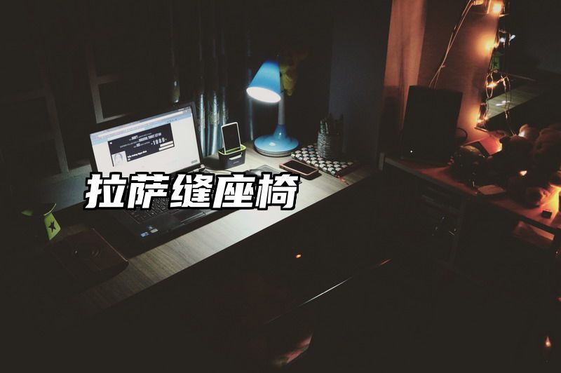 拉萨缝座椅