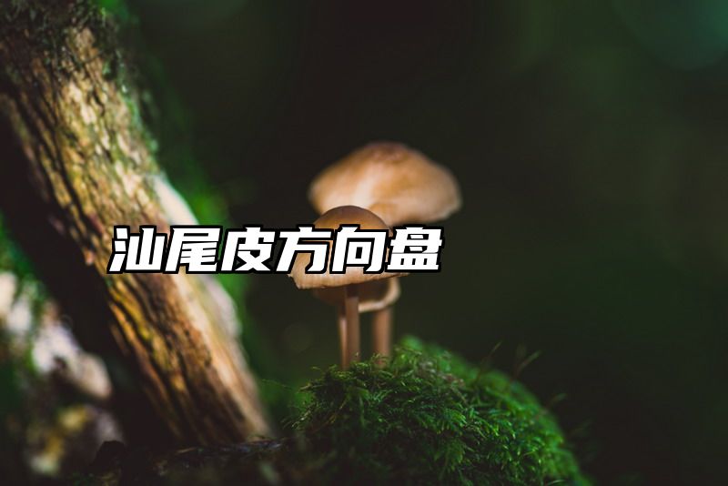 汕尾皮方向盘