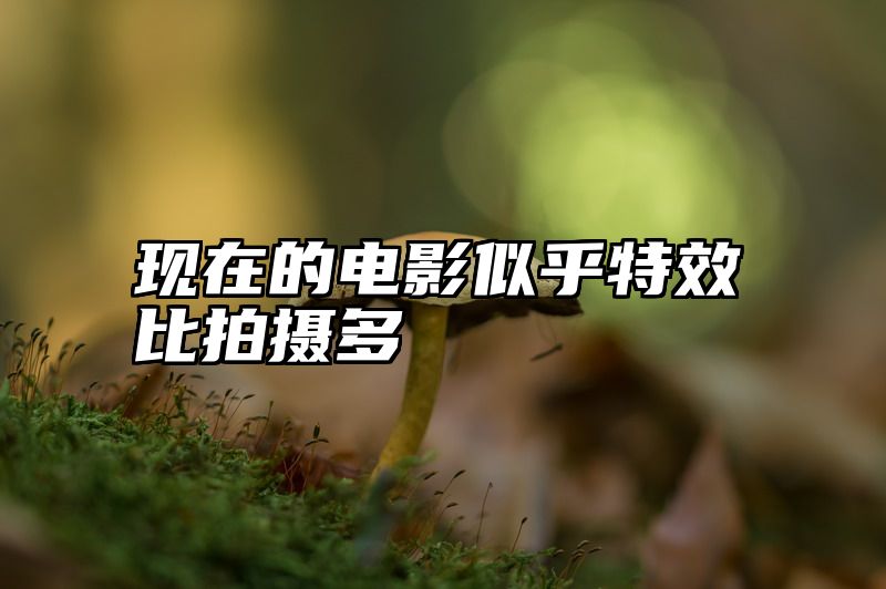 现在的电影似乎特效比拍摄多