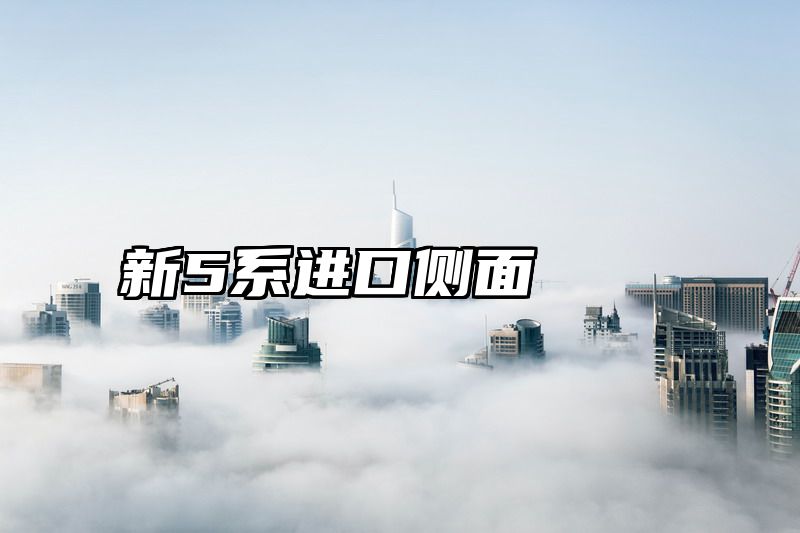 新5系进口侧面