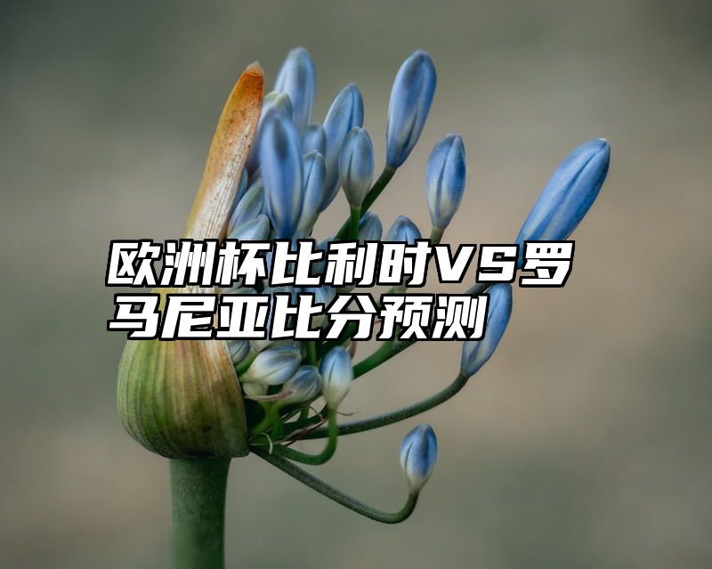 欧洲杯比利时VS罗马尼亚比分预测