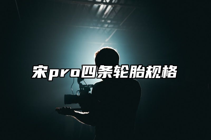 宋pro四条轮胎规格