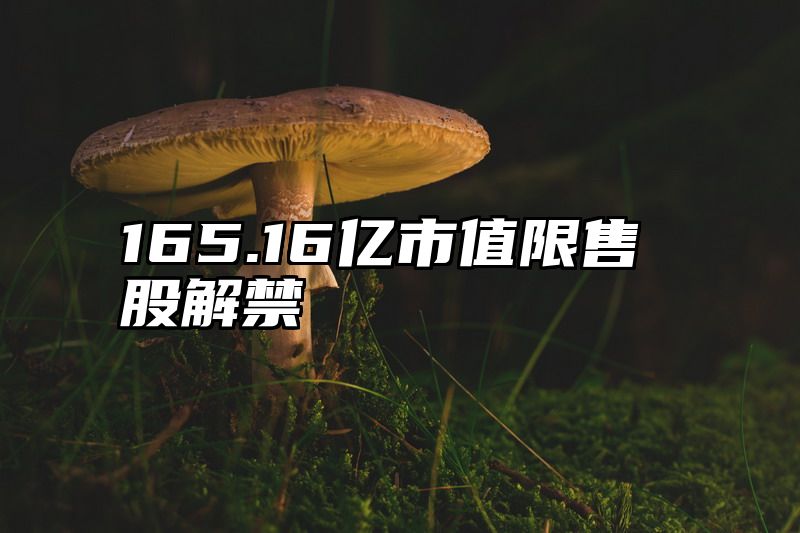 165.16亿市值限售股解禁