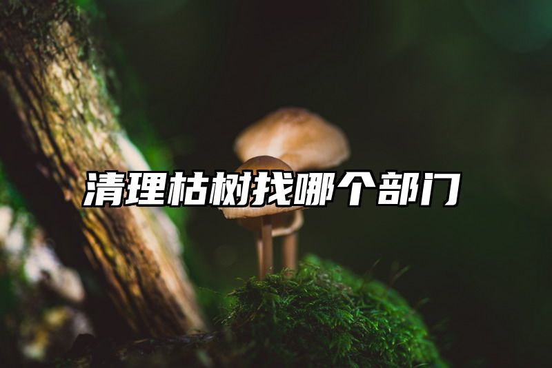 清理枯树找哪个部门