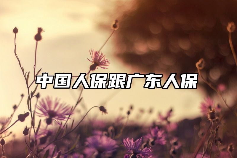 中国人保跟广东人保