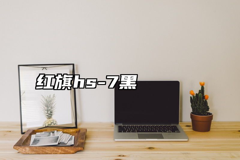 红旗hs-7黑