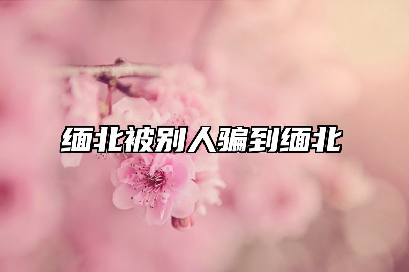 缅北被别人骗到缅北