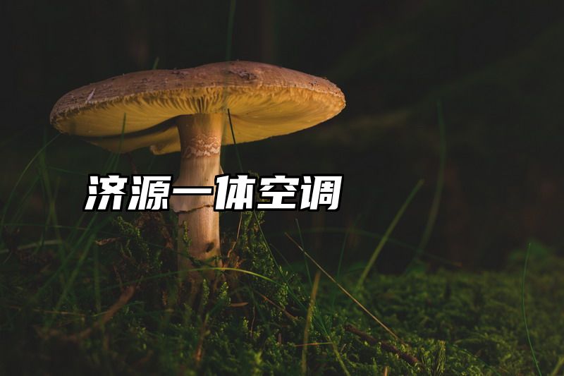 济源一体空调