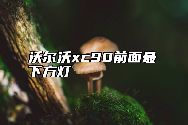 沃尔沃xc90前面最下方灯