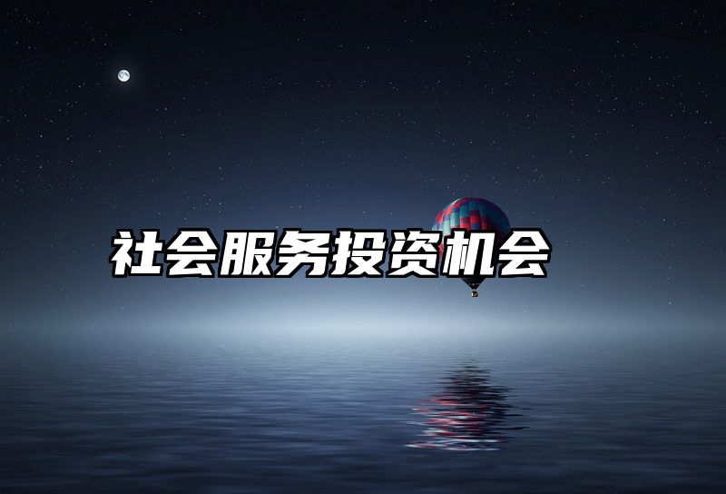 社会服务投资机会