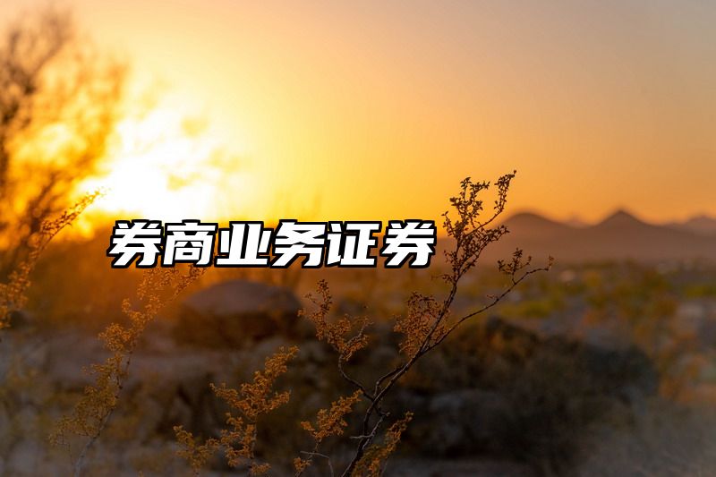 券商业务证券