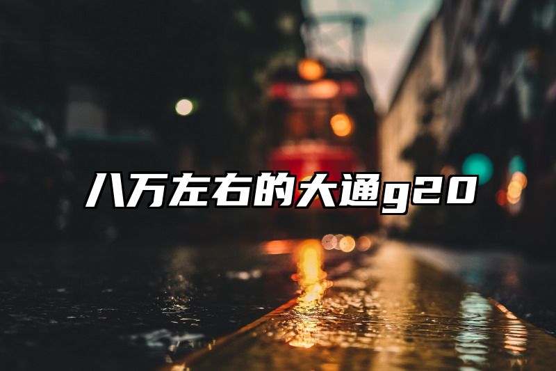 八万左右的大通g20
