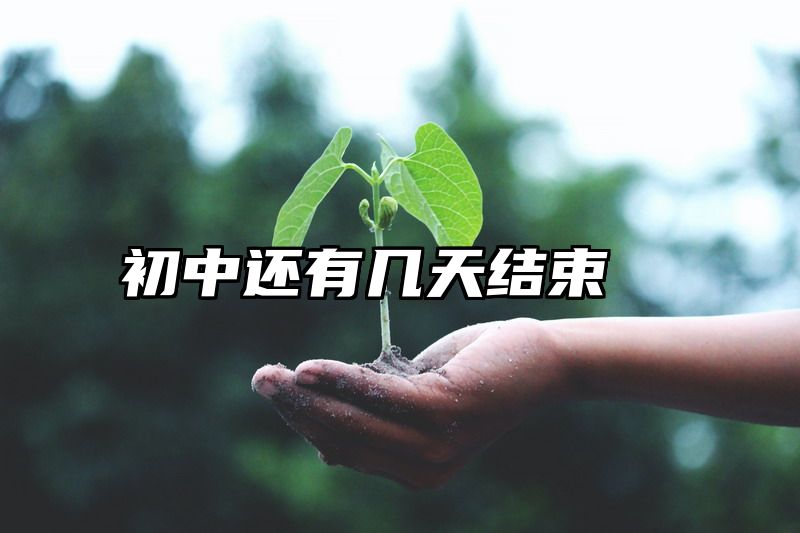 初中还有几天结束