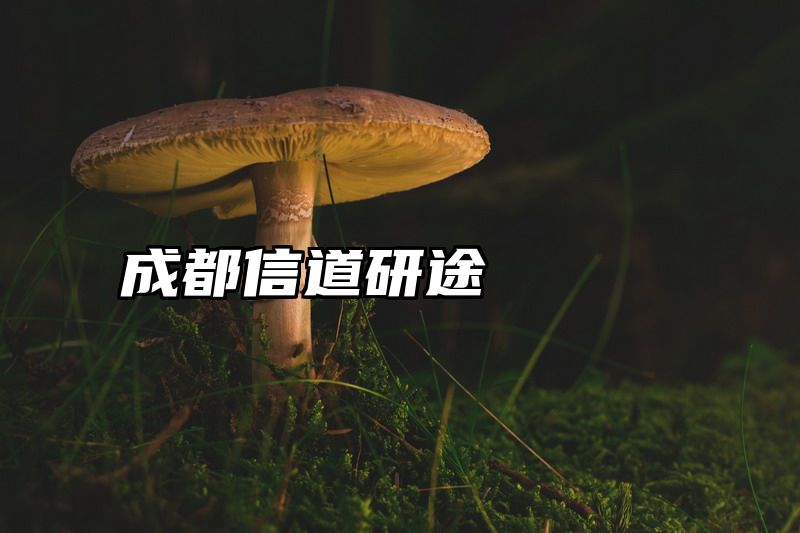 点击查看《成都信道研途》全文