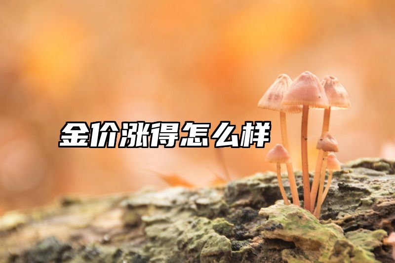 金价涨得怎么样