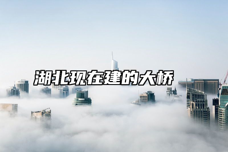 湖北现在建的大桥