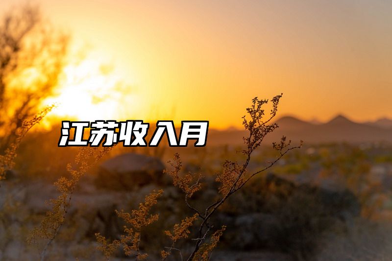 江苏收入月