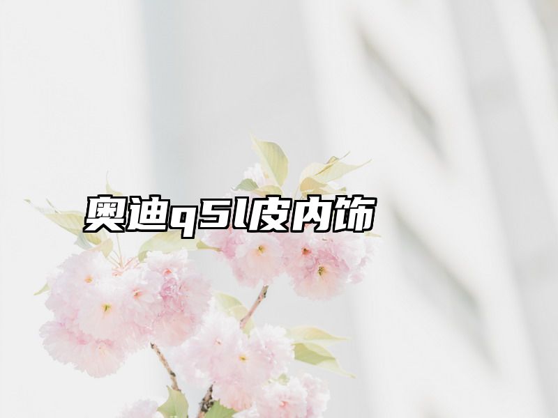 点击查看《奥迪q5l皮内饰》全文