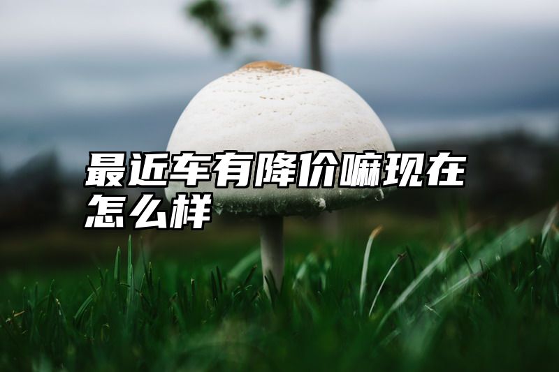 最近车有降价嘛现在怎么样