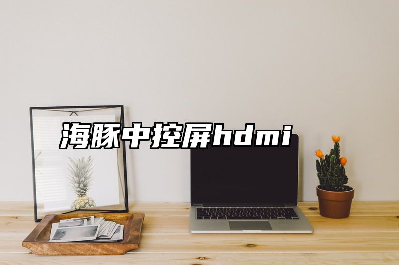 海豚中控屏hdmi