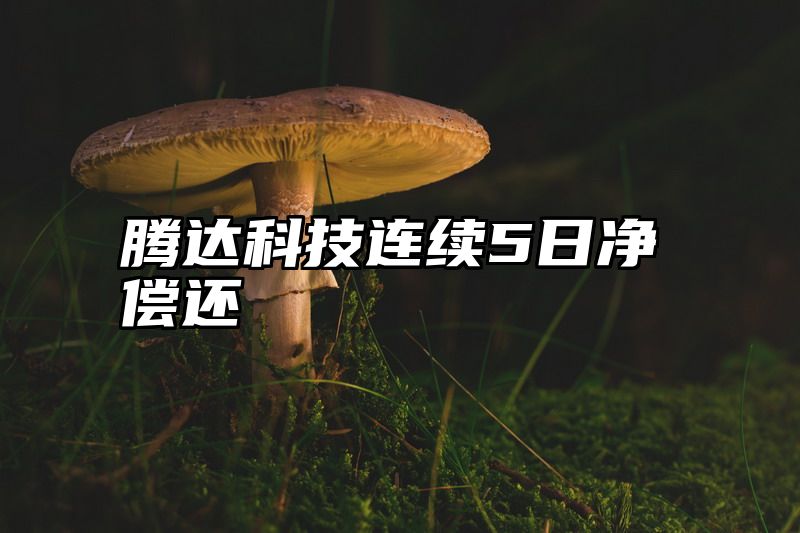 腾达科技连续5日净偿还