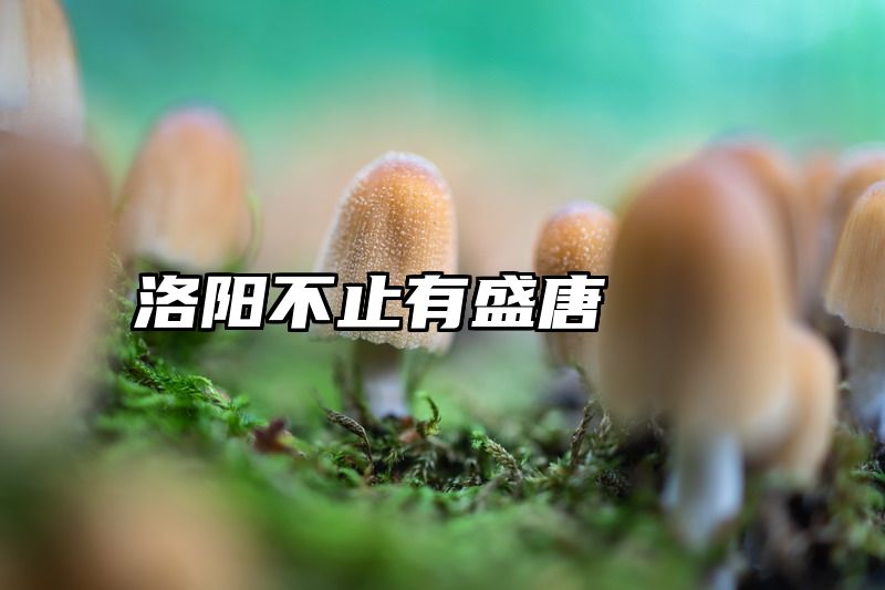洛阳不止有盛唐
