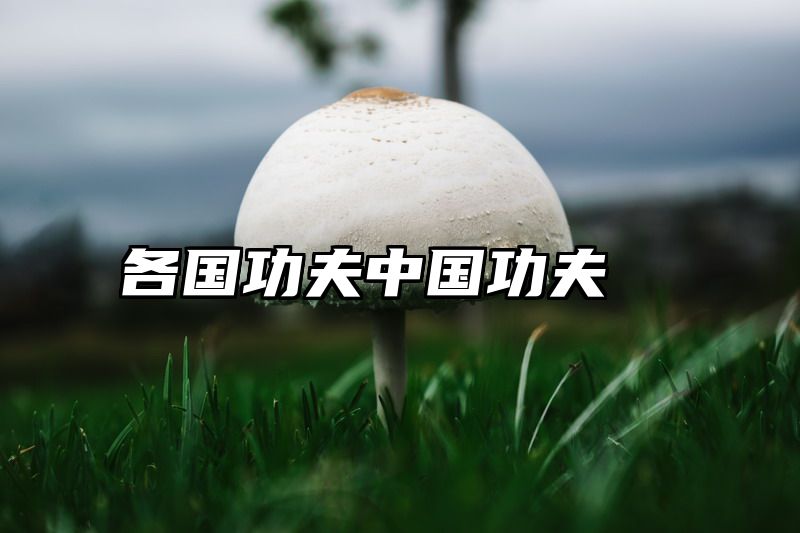 各国功夫中国功夫