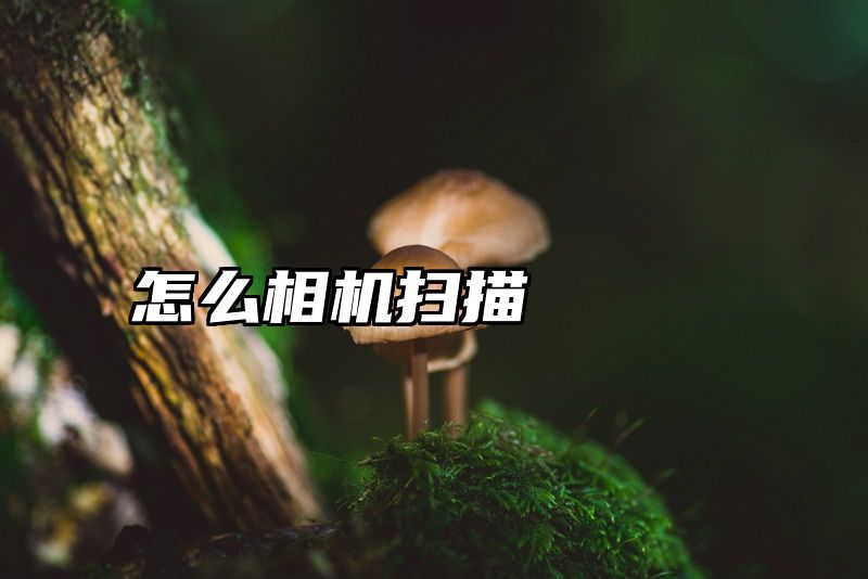 怎么相机扫描