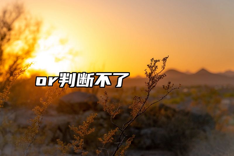 or判断不了