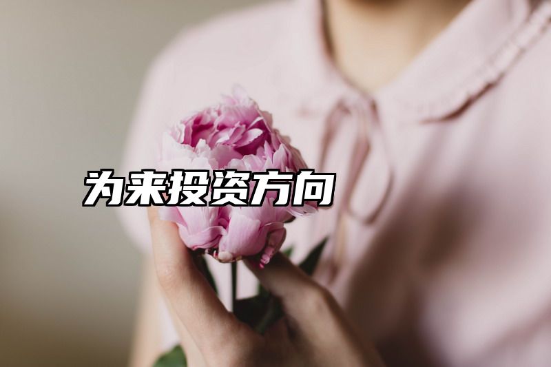 为来投资方向