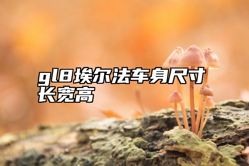 gl8埃尔法车身尺寸长宽高